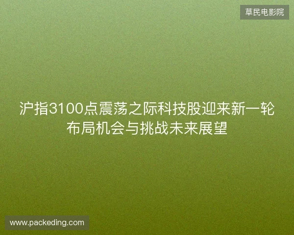 沪指3100点震荡之际科技股迎来新一轮布局机会与挑战未来展望 沪指3100点震荡之际科技股迎来新一轮布局机会与挑战未来展望